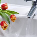 Spring Plumbing Tips