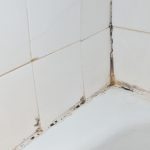 How to Prevent and Remove Bathroom Mold